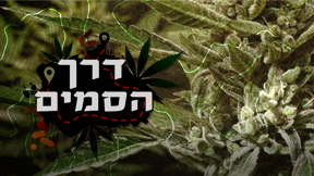 דרך הסמים 1920/1080