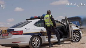النشرة المسائية