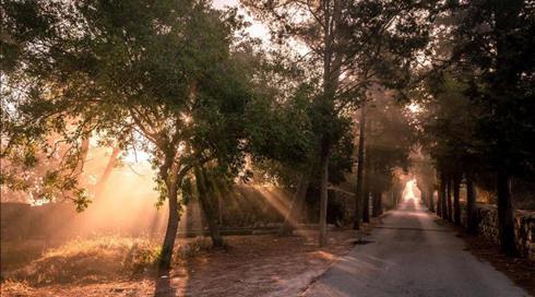 כאן בדרכים: מסע בישראל תחת תנאי הסגר