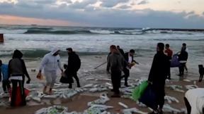 النشرة المسائية مع سماح حسنين بكرية | 28.12.2