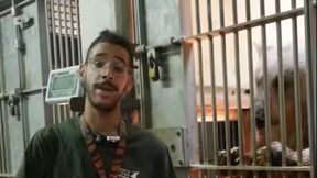 אוריאל נורי, עובד גן החיות התנ"כי שהותקף על ידי נמר