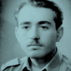 cat18990_img224515723.jpg