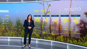 התחזית