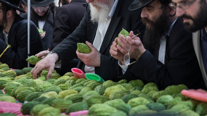 שוק ארבעת המינים
