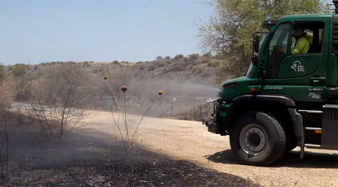 המלחמה על הטבע: מאות אלפי דונמים נשרפו בצפון, גם חיות הבר משלמות מחיר