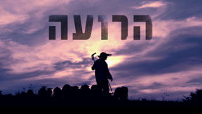 הרועה