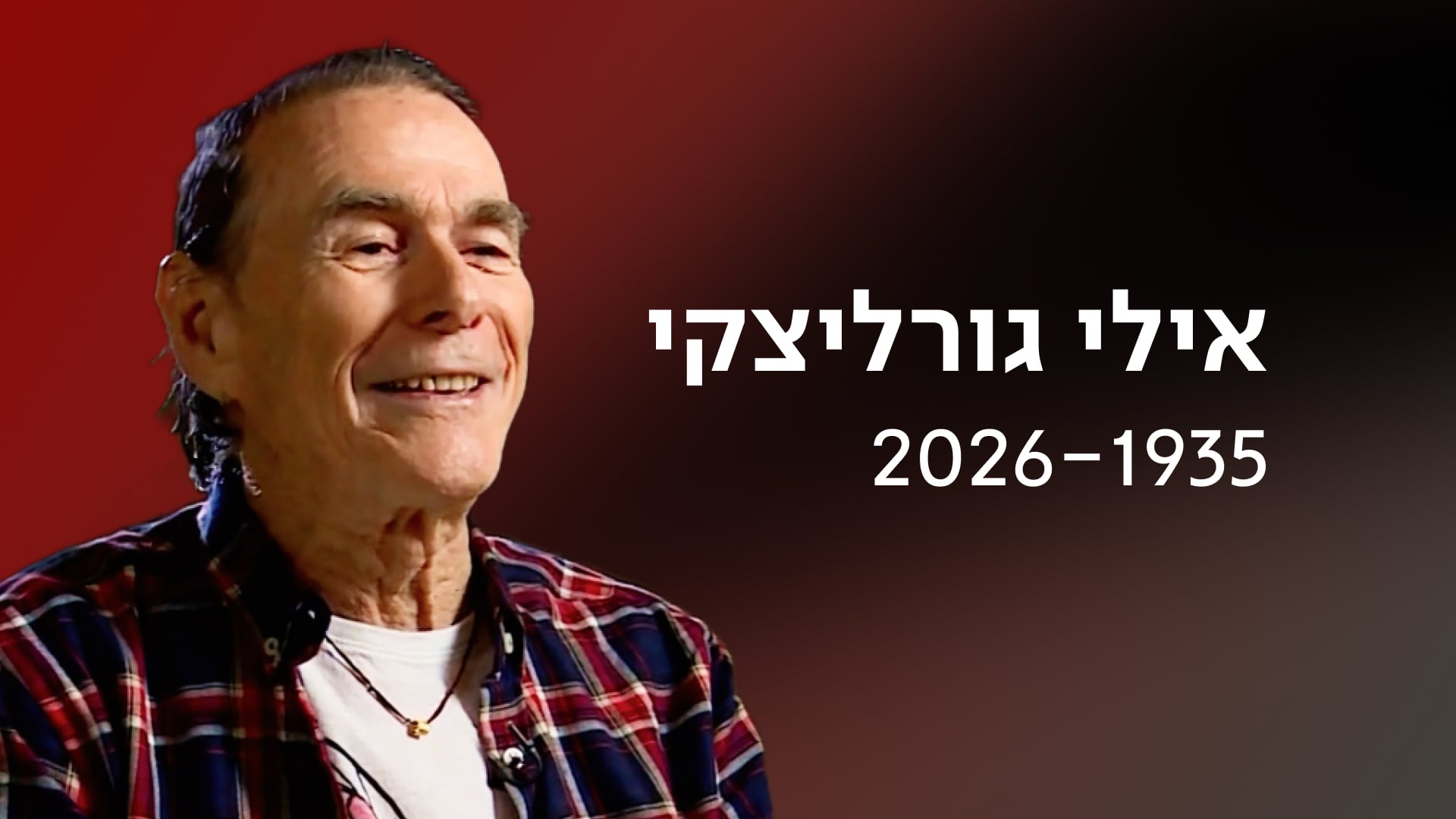 אילי גורליצקי