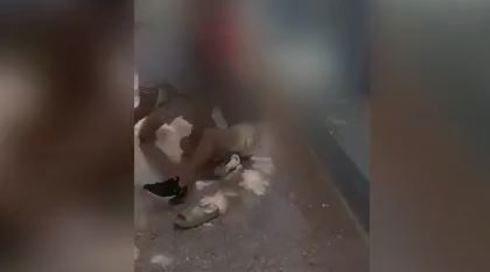 "אלעד חווה אלימות קשה בתיכון בחדרה: "המורות מפחדות ולא יכולות לעשות כלום