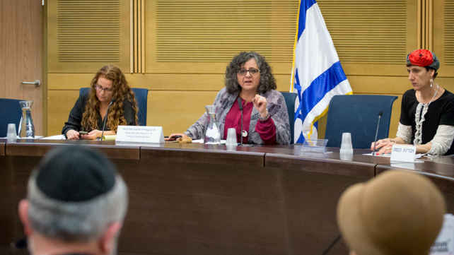 ח"כ עאידה תומא סולימאן בוועדה לקידום מעמד האישה