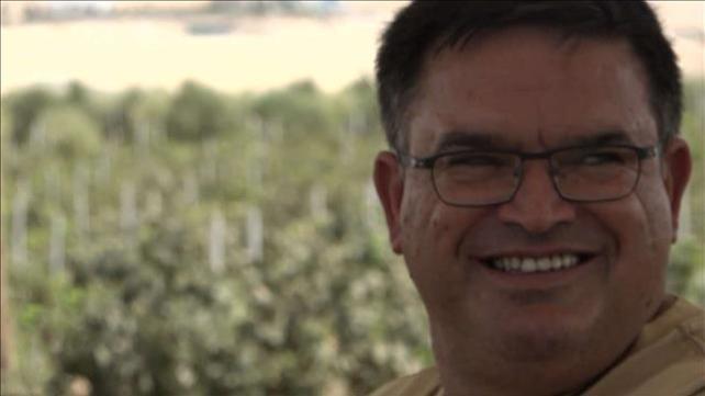 יערה שפירא | שר השירים