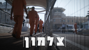 צלמון