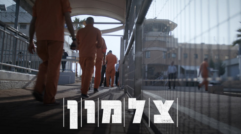 צלמון