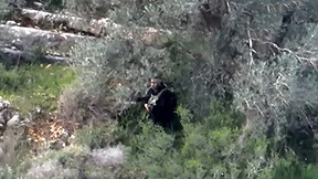 הקלטות הצלף