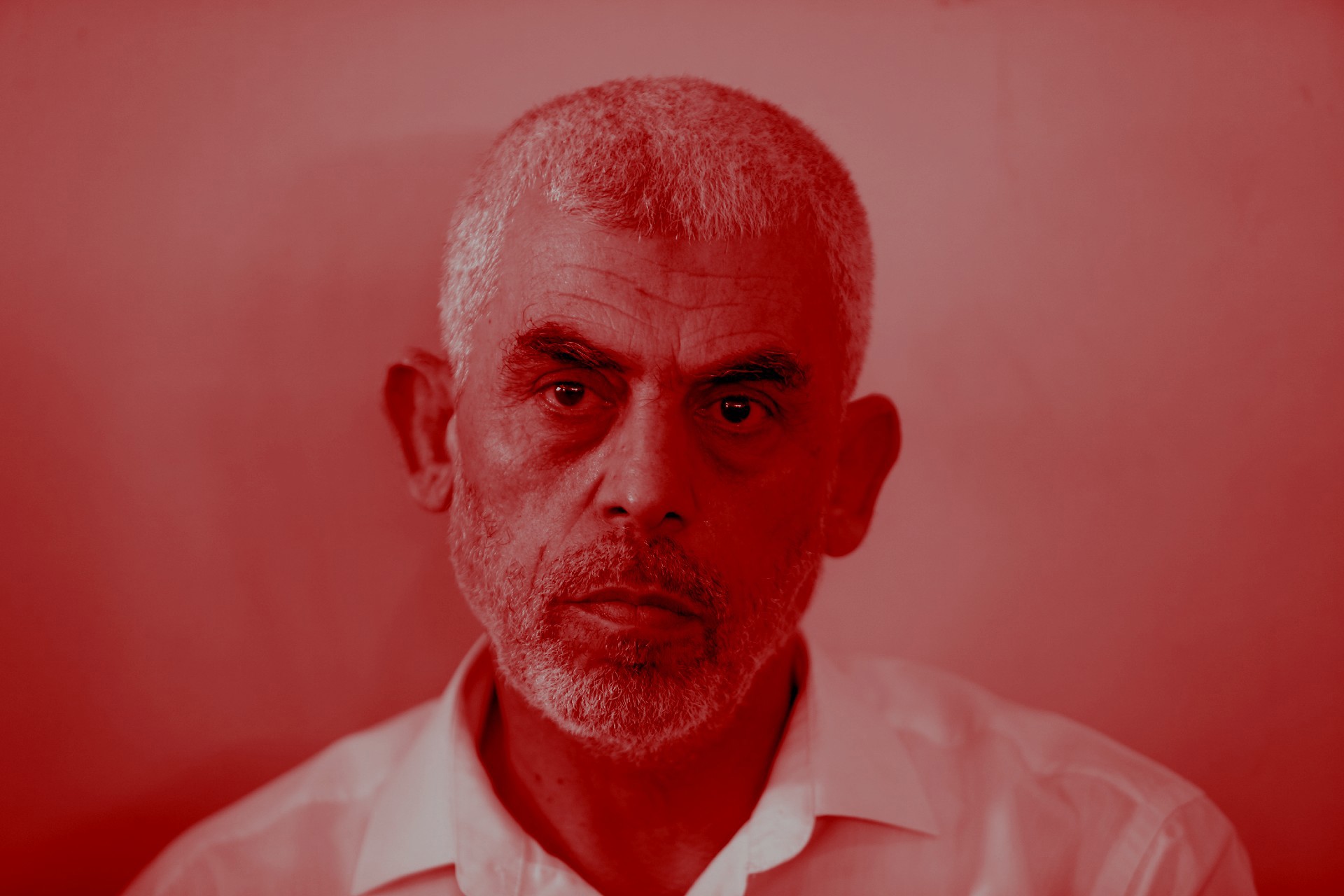 "הכל טוב, אח שלי, יום יבוא ונשחט אתכם": הסדרה שמספקת הצצה למוחו של סינוואר