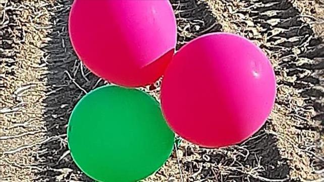 בלוני תבערה בעוטף 14.6.20