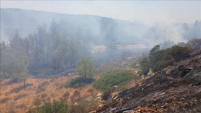 השריפה ליד בית מאיר, אוגוסט 2019