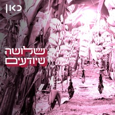 Shutterstock 2220669095 שלושה שיודעים ריבוע