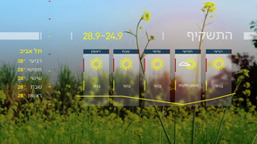 לקראת הקלה בטמפרטורות: התחזית 23.09.25