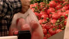 תנו לגדול בשקט: המלחמה גרמה למחסור בפירות וירקות - ויש מי שמייצא לעזה