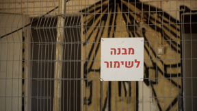אפס בהיסטוריה פרק שני