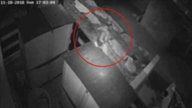רצח דוד אמויאל בטבריה: תמונות ראשונות מהרגעים
