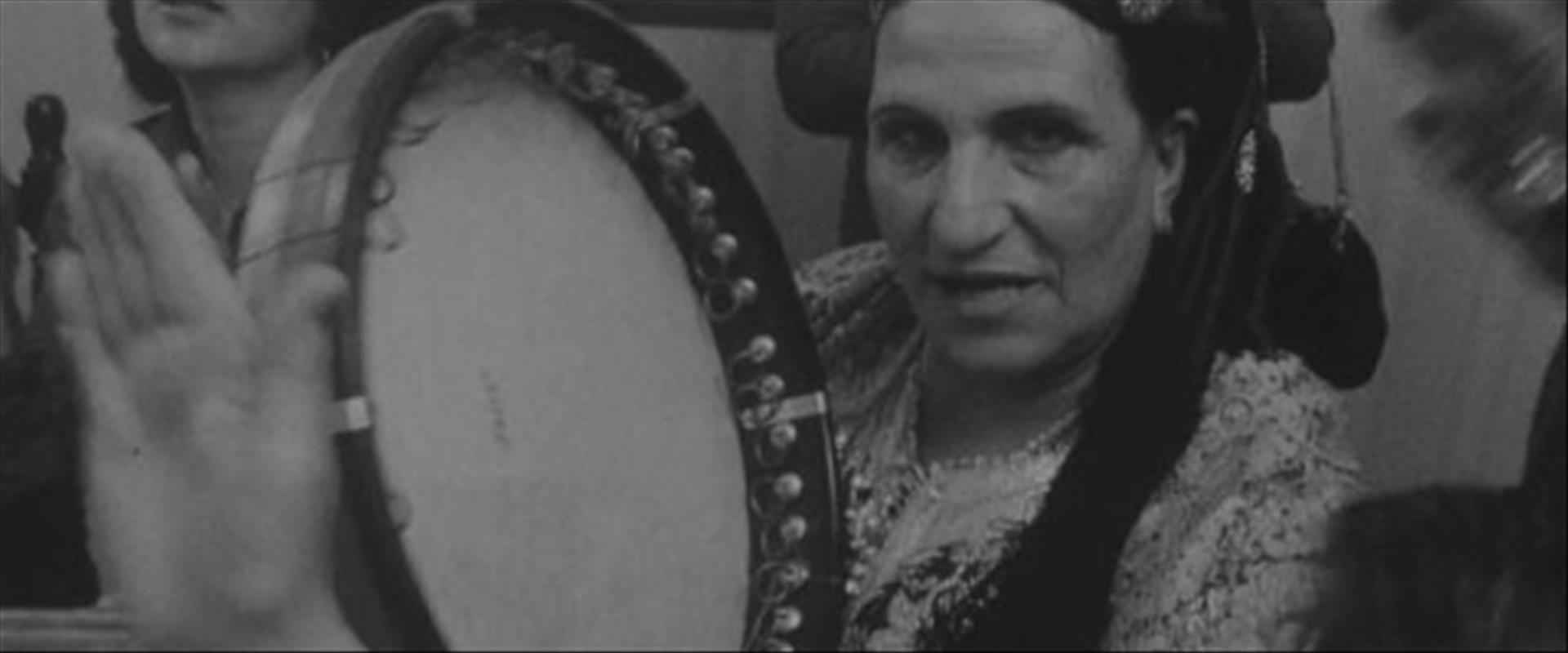 מימונה, 1978