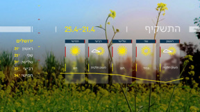 תחזית