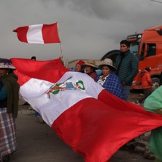 cat30239_img231288209.jpg