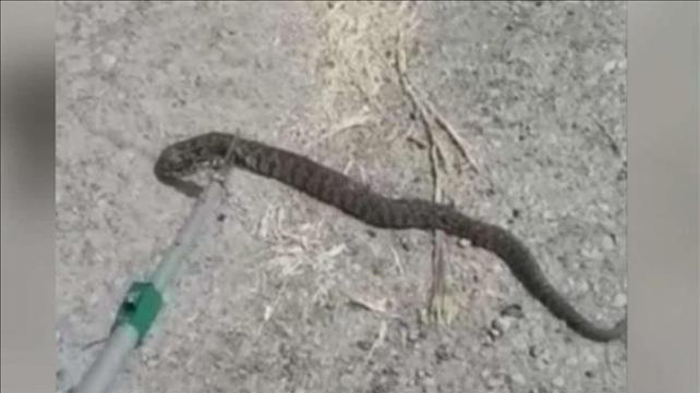 "הקאתי כמויות לא נורמליות": כיצד מתמודדים עם 
