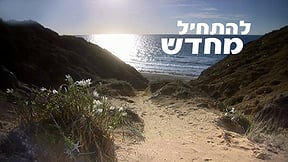 להתחיל מחדש. זריחה