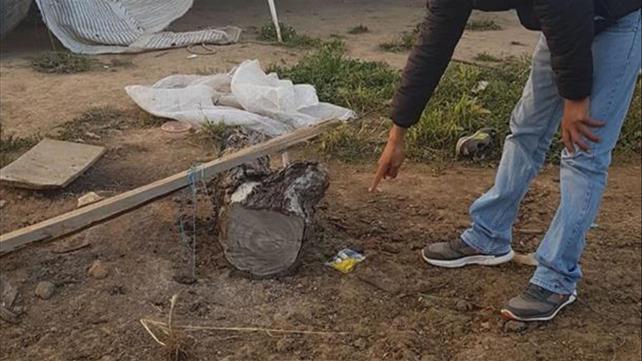 בלון תבערה מעזה שנחת באשכול וגם לפציעתו של בן 42