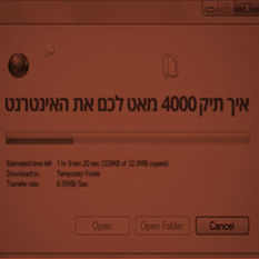 cat13449_img467105319.jpg