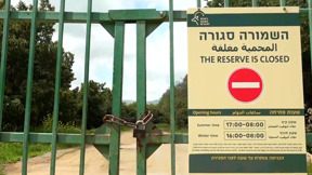 הצפון הנטוש מתעורר: הטבע מתעורר לחיים, אבל המטיילים נשארים במרחב המוגן