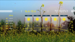 תחזית - 11.06.24