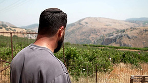 הדמעות שהפכו ליין: היקב השרוף באביבים קם לתחייה