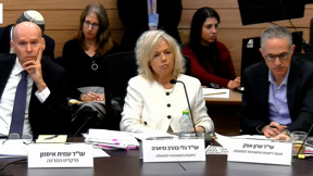 "שימי את המפתחות שלך ותתפטרי": היועמ"שית תחת מתקפה בכנסת