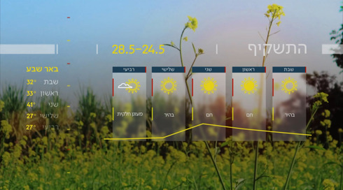 התחזית (29)