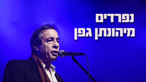 1920 1080 גפן לוגו טלוויזיה