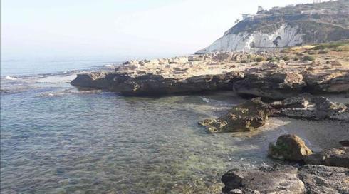 רגע לפני הקיץ: ירידה בשיעור החופים הנקיים (1)