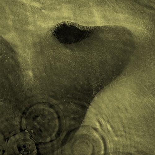 ספיישל פינק פלויד - Meddle